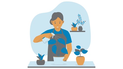 Basisopleiding maatwerkcoaches - Groenzorg