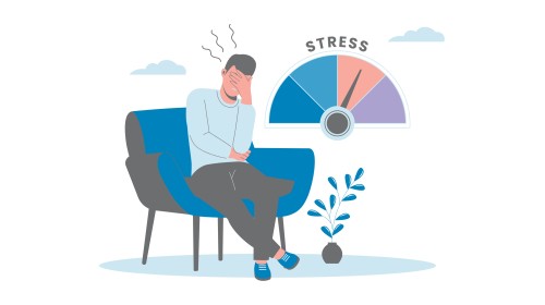 Arbeidshandicap en psychosociale problematieken in maatwerkbedrijven - basismodules